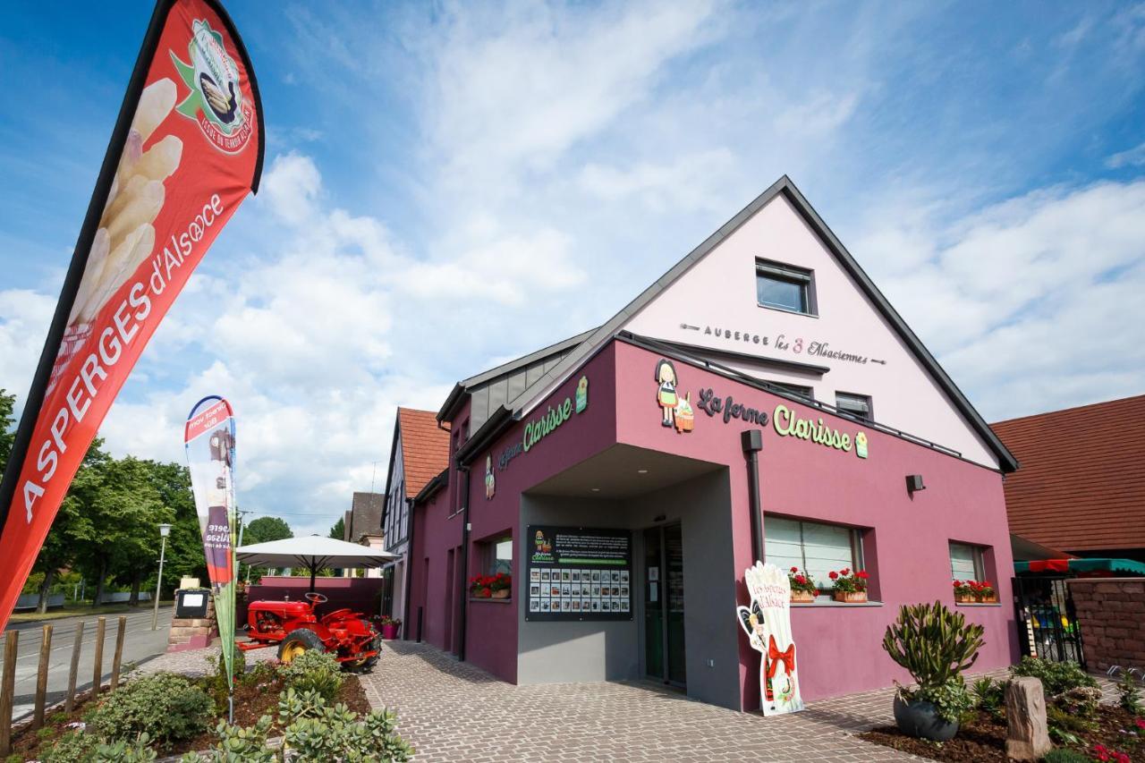 Apartamento Les 3 Alsaciennes Sigolsheim Exterior foto